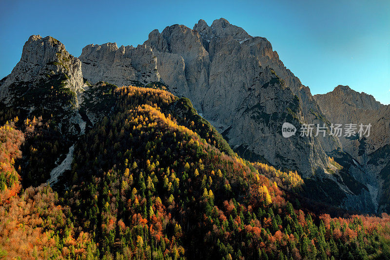 与Sella Somdogna，秋天落叶松，朱利安阿尔卑斯山，意大利，欧洲的蒙塔兹山的观点